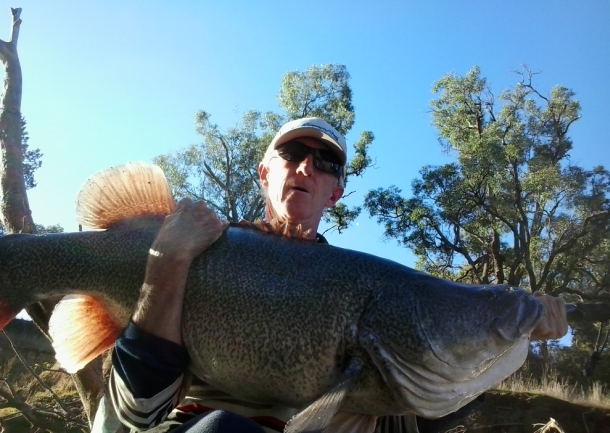Dinosaur caught in the Macquarie